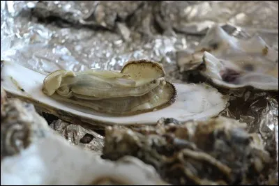 Les huîtres font partie des plats d'hiver, lesquelles choisirez-vous si vous préférez les petites ?