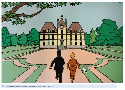 Haddock nous a montré un château appelé :