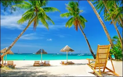 Quelle est l'origine des plages de sable blanc ?