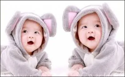 Les vrais jumeaux n'ont pas les mêmes empreintes digitales.