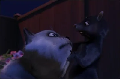 Quels sont les critères que Stella recherche chez un gars ?