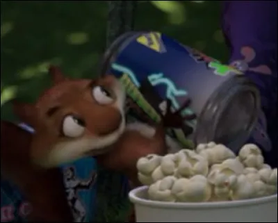 Qu'arrive-t-il à Zamy lorsqu'il prend de la caféine ?