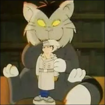 Quel est le nom du chat du Docteur Gang ?