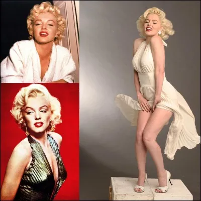 Cette personne, au moins, on sait ce qu'elle veut ! Sa carrière a été celle d'une étoile filante, on a donné son nom à un astéroïde. Sa réputation lui fera dire : 

« L'idée d'être un symbole me déplaît, mais si je dois être le symbole de quelque chose, je préfère que ce soit du sexe. »

Qui est cette actrice ?