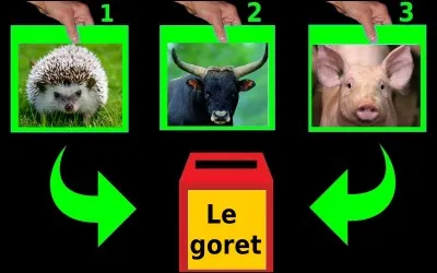 Quelle est la bonne réponse ?