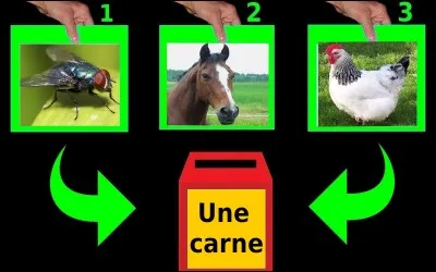 Quelle est la bonne réponse ?