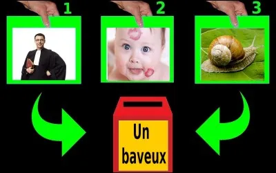 Quelle est la bonne réponse ?