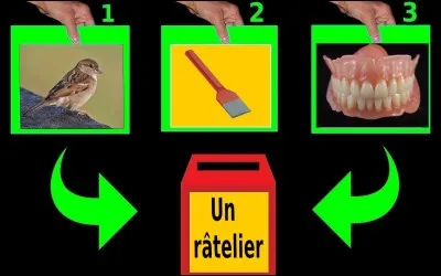 Quelle est la bonne réponse ?