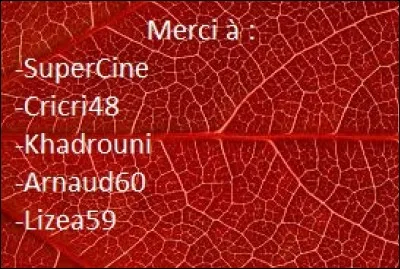 Durant quel mois se déroule la Fête des Lumières qui a lieu dans la ville de Lyon ?