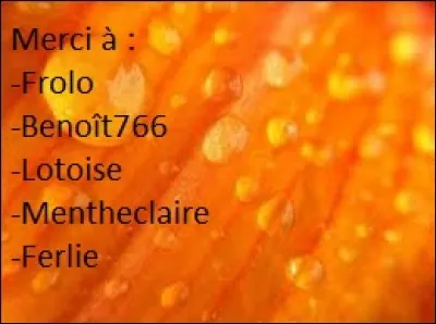 À quelle fête vous fait penser une citrouille ?