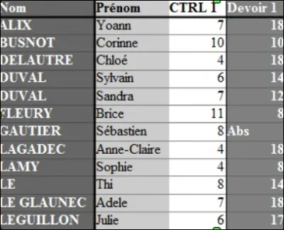 Quelle fonctionnalité permet d'appliquer et d'enregistrer le formatage des tableaux ?