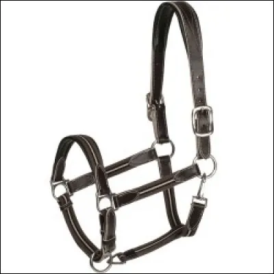 Comment s'appelle cet objet ?