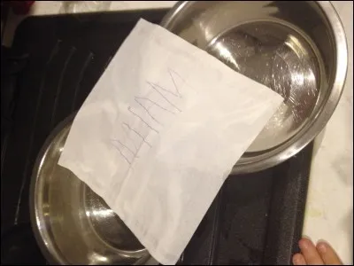 Combien de fois un chien doit-il manger par jour (minimum)?