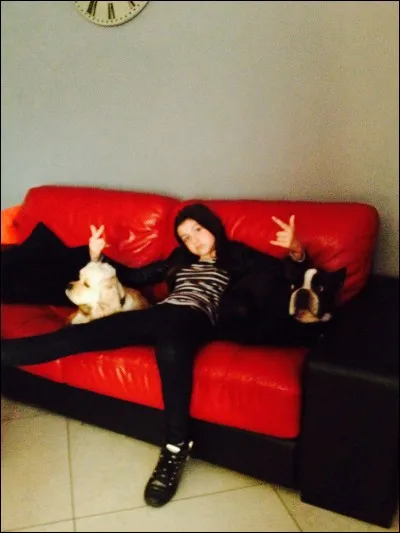 Pourquoi dit-on que le chien est le meilleur ami de l'homme ? Car il est :