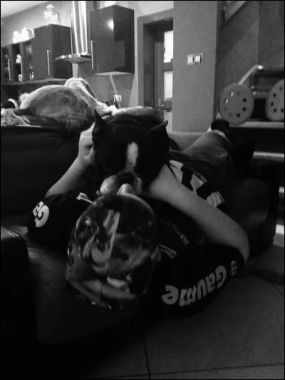 Quand un chien nous l&egrave;che, c'est qu'....