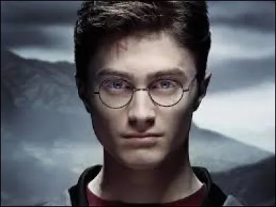 Quel est le métier de Harry Potter ?
