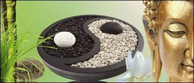 Le feng shui c'est un art millénaire chinois dont le but est d'harmoniser l'énergie environnementale d'un lieu. Mais que signifie "feng shui" ?