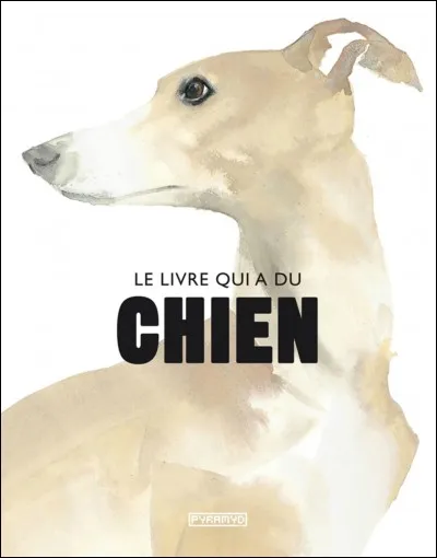 Quel est le seul chien à ne pas aboyer ?
