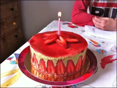 L'idée d'Hippophile et Mia sera-t-elle retenue ?