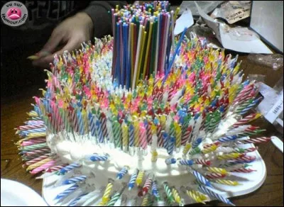 Joyeux anniversaire Ferlie ! Les bougies sont arrivées et comme nous sommes nuls en maths, combien en avons-nous mis ?