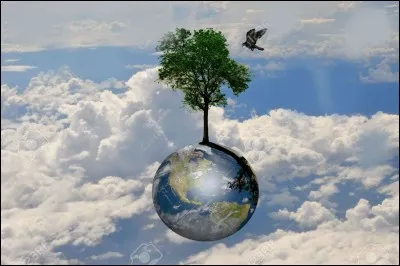 Qui chantait "Dans la vie faut pas s'en faire" ?