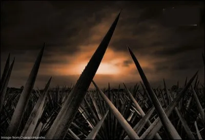 Fabriquée à base d'agave, quel est le nom de cette eau de vie ?