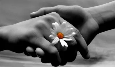 Et notre amitié restera scellée :