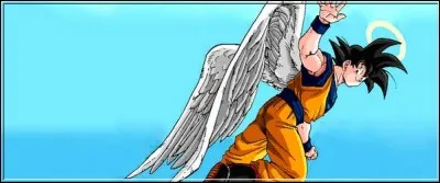 Dans &laquo;&nbsp;Dragon Ball Super&nbsp;&raquo;, lequel de ces personnages est un ange ?
