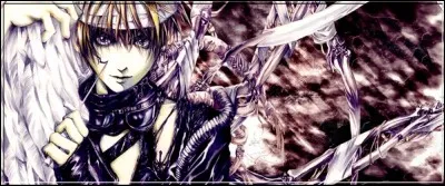 Dans quel anime le jeune Setsuna Mudō est-il la r&eacute;incarnation d'Alexiel, un archange d&eacute;chu qui s'est rebell&eacute; contre le Paradis ?