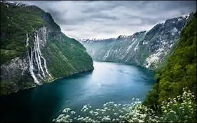 Quelle est la bonne orthographe du mot correspondant à la définition suivante : ancienne vallée glacière envahie par la mer ?