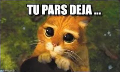 Qui a chanté "Puisque tu pars" ?