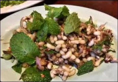 Dans le petit restaurant Noma à Copenhague, quels insectes servent à assaisonner la salade ?