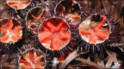 Quel est cet animal que l'on mange vivant ?