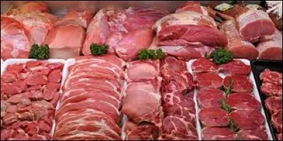 De quelle période le régime pegan est-il fan ?