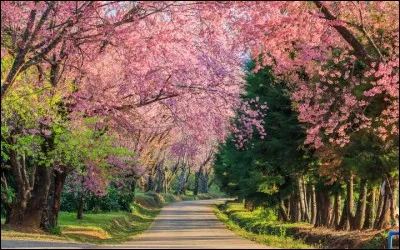 Quand l'équinoxe de printemps a-t-il lieu dans l'hémisphère sud ?