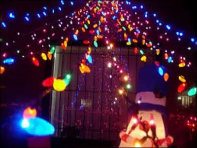 Question bonus : les guirlandes lumineuses utilisent peu d'énergie.