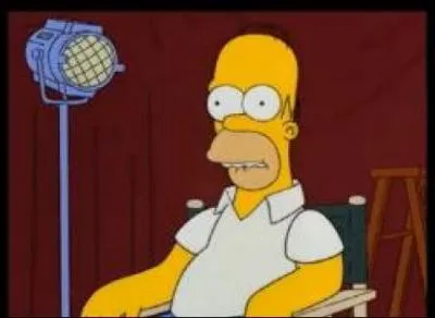 Sur cette photo , qu'est-ce qu'est en train de faire Homer ?