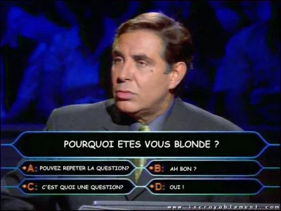 Qu'est-ce qu'une blonde avec une mèche brune ?