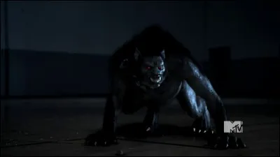 Qui est l'alpha dans cette saison ?