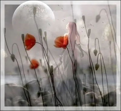 Qui semait des grains de pavots sur les pavés ?