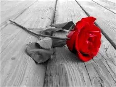 Qui chantait "I loved you my lady, though in your grave you lie, I'll always be with you, this rose will never die, this rose will never die" ?