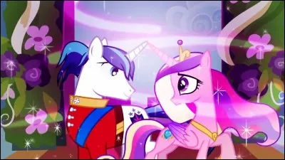 Dans quelle saison le découvre-t-on ?