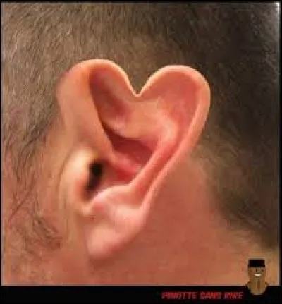 Drôle de forme pour un(e)...