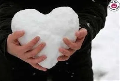 En quoi ce cur est-il fait ?