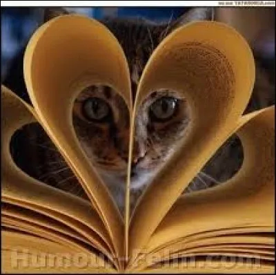 Quel animal se trouve derrière ce livre ?