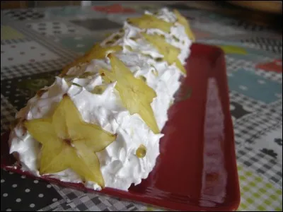 Les étoiles la rendent féérique pour ces fêtes de Noël ! Que sont-elles ?