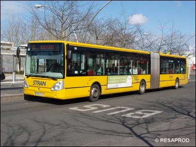 Quand a été créé le réseau de bus de ville, devenu "Stran" un peu plus tard ?