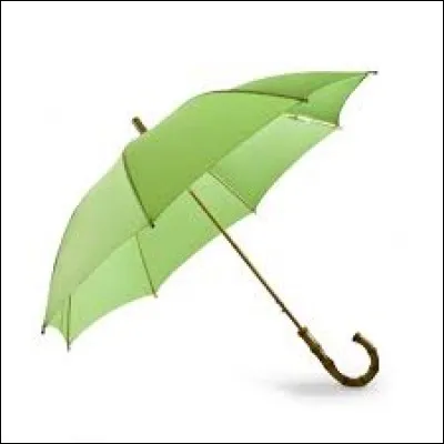 Que voyez-vous sur l'image ?