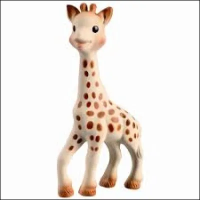 Quel est le nom cette petite girafe ?