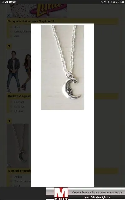 À qui appartient ce pendentif ?